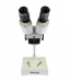 Byomic BYO-ST2 Stereo Microscoop